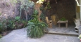 Casa Lupita